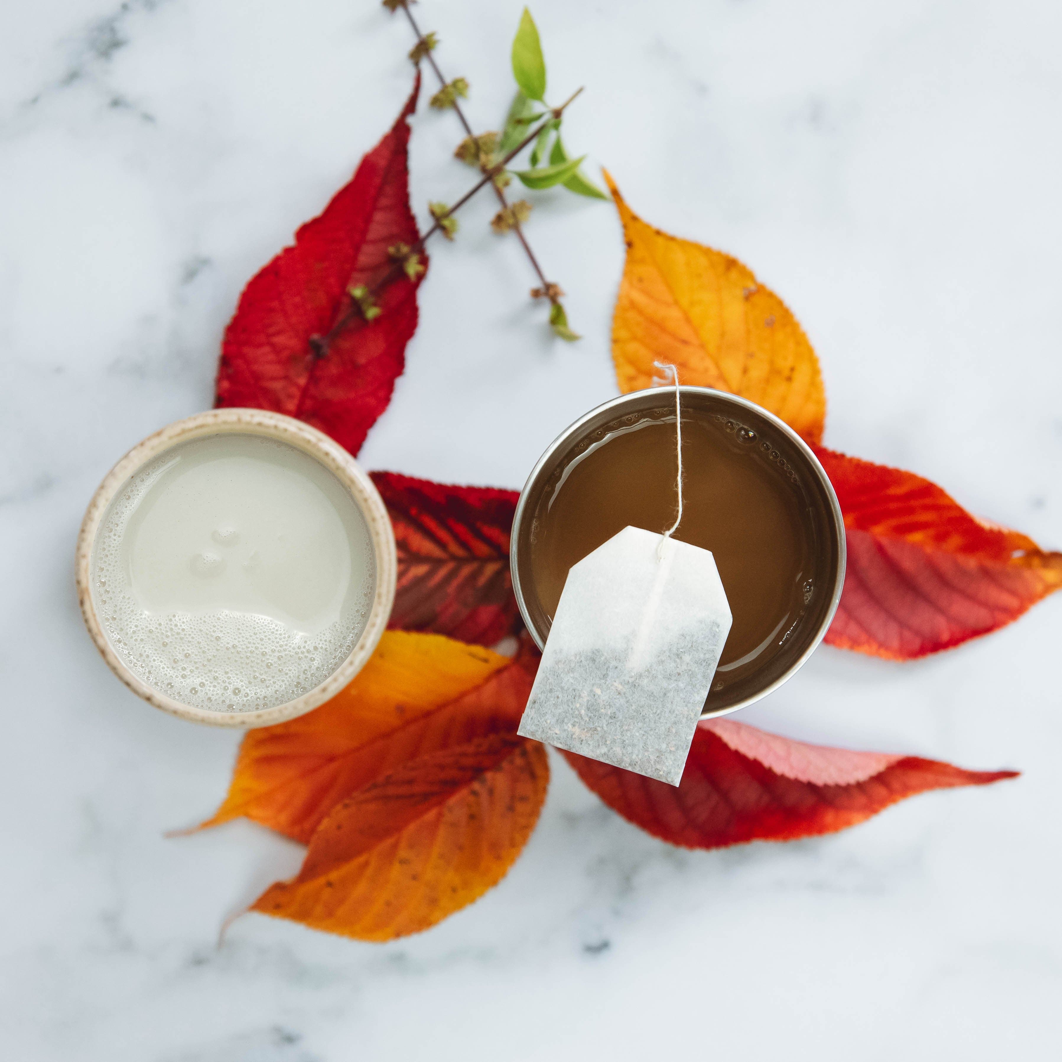 Our Fall Drink Guide