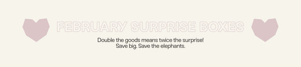 February Surprise Boxes – Ivory Ella